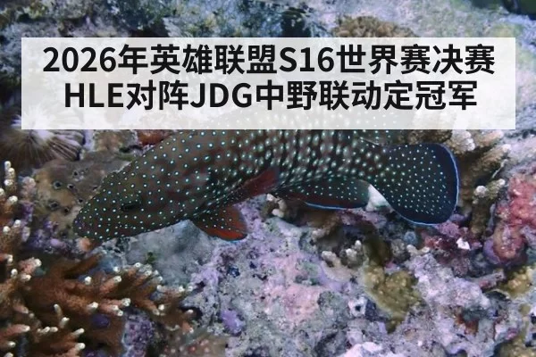2026年英雄联盟S16世界赛决赛HLE对阵JDG中野联动定冠军